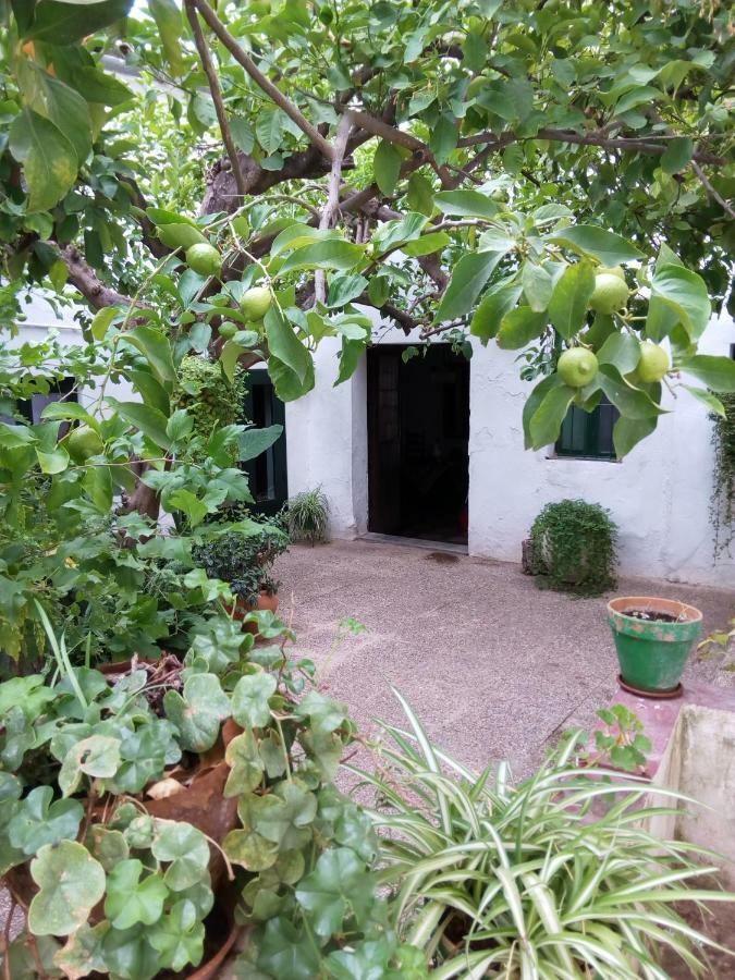 Las Jimenas Higuera De La Sierra  Exterior foto